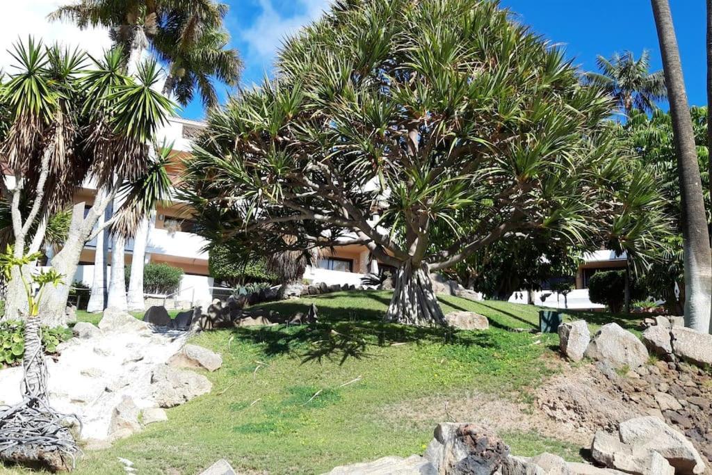 Apartment With Pool And Gardens Near The Coast San Miguel de Abona Exterior photo