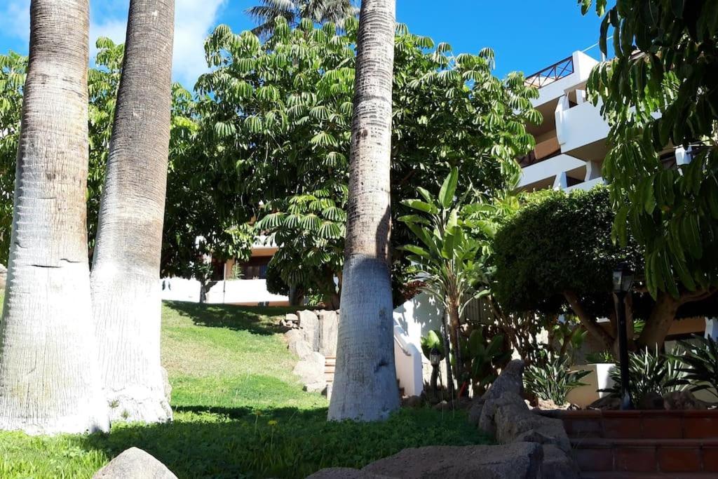 Apartment With Pool And Gardens Near The Coast San Miguel de Abona Exterior photo